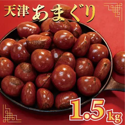 天津甘栗 1.5kg 京都 【甘栗】