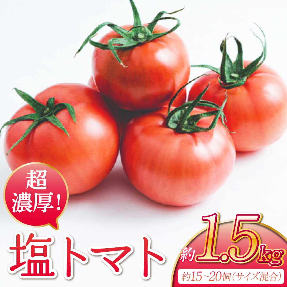 【ふるさと納税】超濃厚！塩トマト 約1.5kg 1箱 （約15～20個サイズ混合）【2026年4月上旬〜6月中旬頃順次発送予定】トマト とまと 野菜 濃厚 ケース 箱 国産 九州 熊本県 宇城市 送料無料 しんたのトマト農園 宇城市産