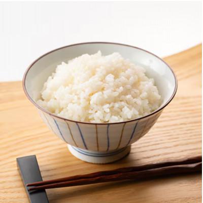 ふるさと納税 五泉市 【2ヵ月毎定期便】特別栽培米コシヒカリ100%「南郷米」精米 10kg(5kg×2袋)全3回 |  | 02