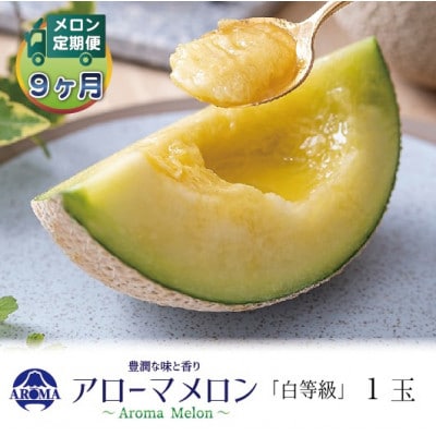 【毎月定期便】アローマメロン(白等級) 1玉　全9回【配送不可地域：離島・北海道・沖縄県】