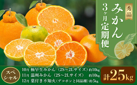 秀品 みかん 3ヶ月定期便 【スペシャル：計25kg】 日本フルーツ株式会社《10月上旬-12月末頃出荷》熊本県 荒尾市  極早生みかん 温州みかん 葉付き 不知火 果物 フルーツ スイーツ デザート ギフト ご贈答