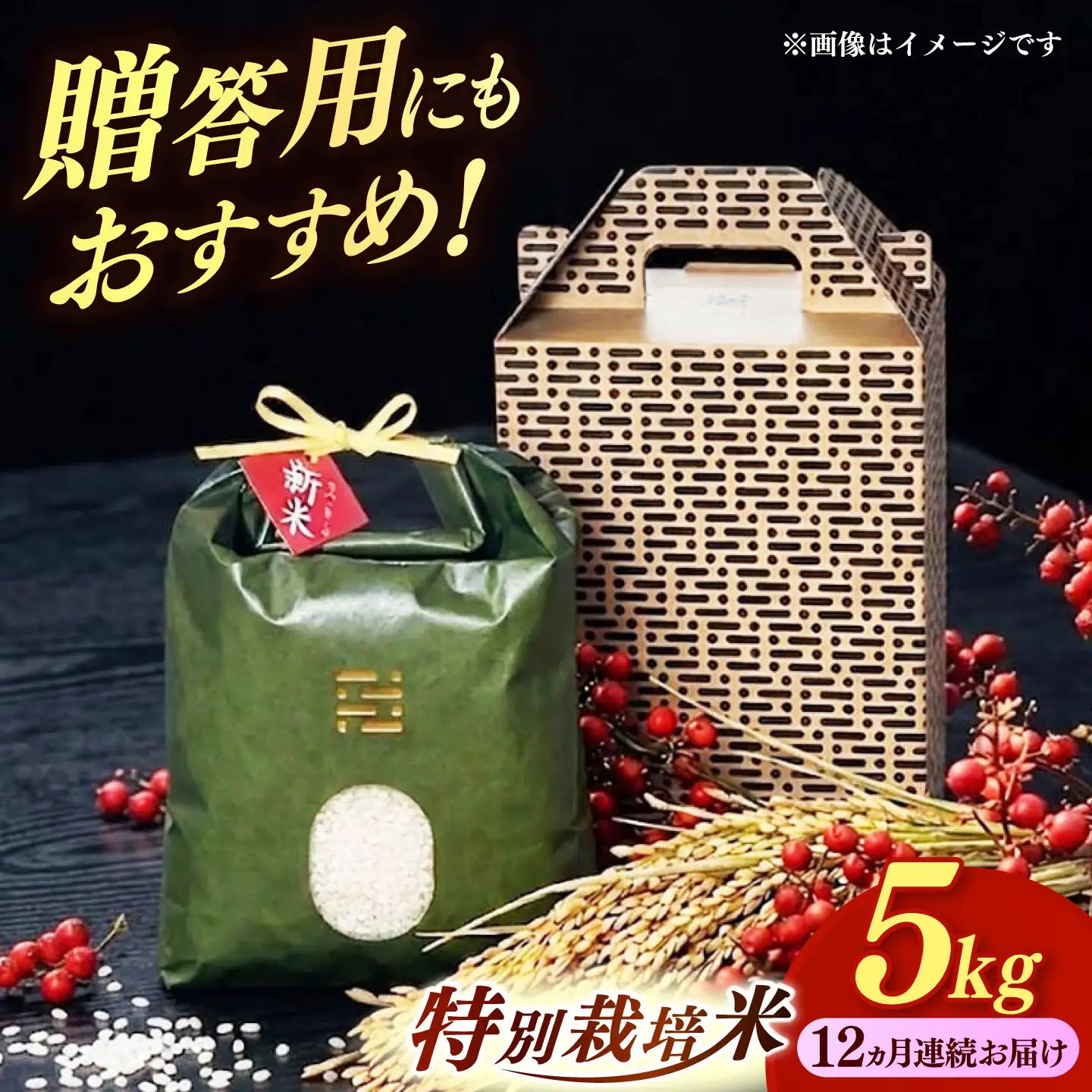 【全12回定期便】とくべつの中のとくべつ  特別栽培米  夢つくし 5kg【築上町】 / itoshimacco / 株式会社やました[ABEX008]