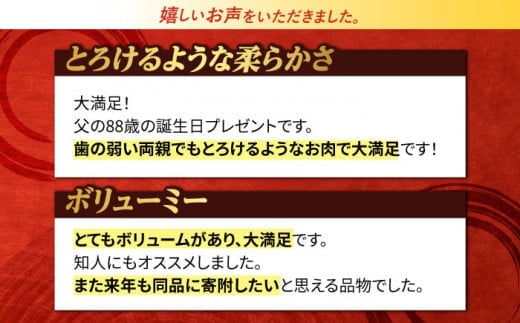 極上 ヒレ ステーキ 2枚 300g 長崎和牛 A4～A5ランク 希少部位 肉 牛肉 赤身 ヒレステーキ 焼肉