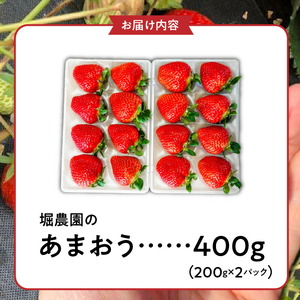 【2026年12月より順次発送】福岡県エコ農産物認定　堀農園のあまおう400g_ いちご〔Fi074〕