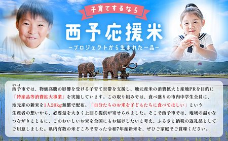 ＜にじのきらめき 約10kg（5kg×2袋）＞ 10キロ ニジノキラメキ 米 お米 コメ こめ 白米 精米 ご飯 ライス 大粒 穀物 西予応援米 特産品 愛媛県産 西予市産 宇和町産 前田農園 愛媛県