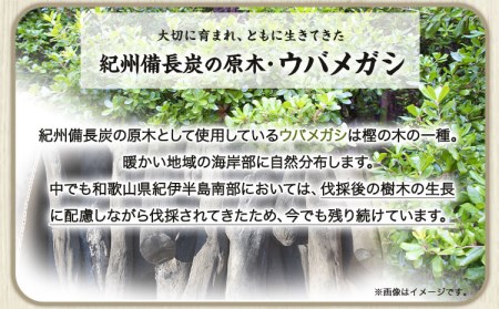 備長炭の木酢液 1000ml×10本 株式会社紀 《30日以内に順次出荷(土日祝除く)》 和歌山県 日高川町 消毒 園芸 木酢液 備長炭 炭 BBQ 焼肉 炭火焼き キャンプ レジャー 囲炉裏 国産 