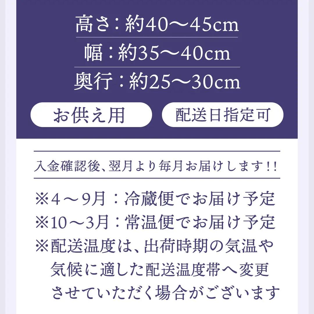 【配送日指定可】【 定期便 /12ヶ月連続】季節の お供え用 アレンジメントフラワー 仏花 お盆 お供え お悔やみ 仏事 法事 命日 お盆 秋彼岸 春彼岸 正月 生花 [CY012sa]