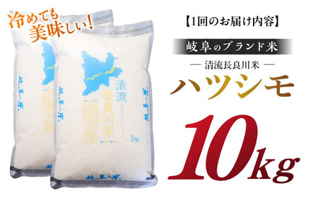 【6回定期便】【R7年産】 白米ハツシモ 10kg 白米 10kg 白米定期便[ANCU009]