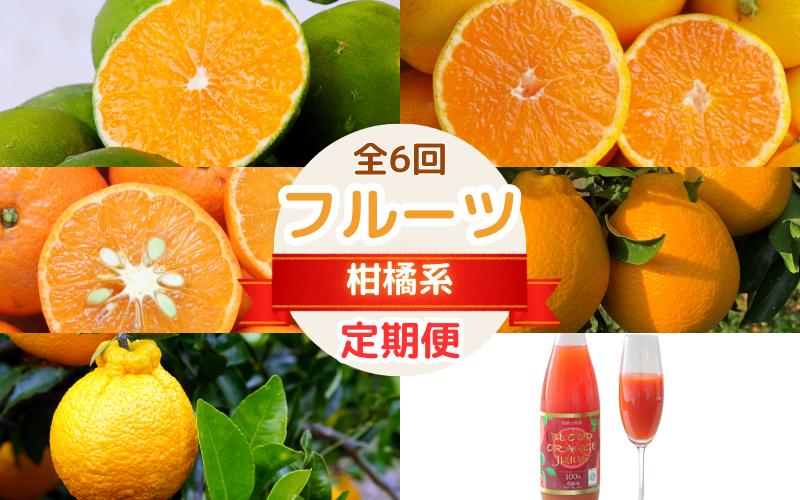 
                  【2026年分先行予約・数量限定】フルーツ定期便（柑橘）【6回定期便】 / 和歌山県 田辺市 みかん ゆら早生 温州みかん 紅ばえ ポンカン 不知火 ブラッドオレンジ タロッコ ブラッドオレンジジュース オレンジジュース 無添加 果汁100% ストレート【mrn017-tk1】
                