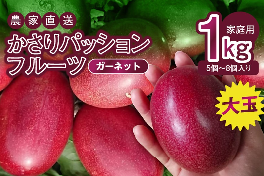 
                  かさりパッションフルーツ ガーネット1kg　A072-007
                