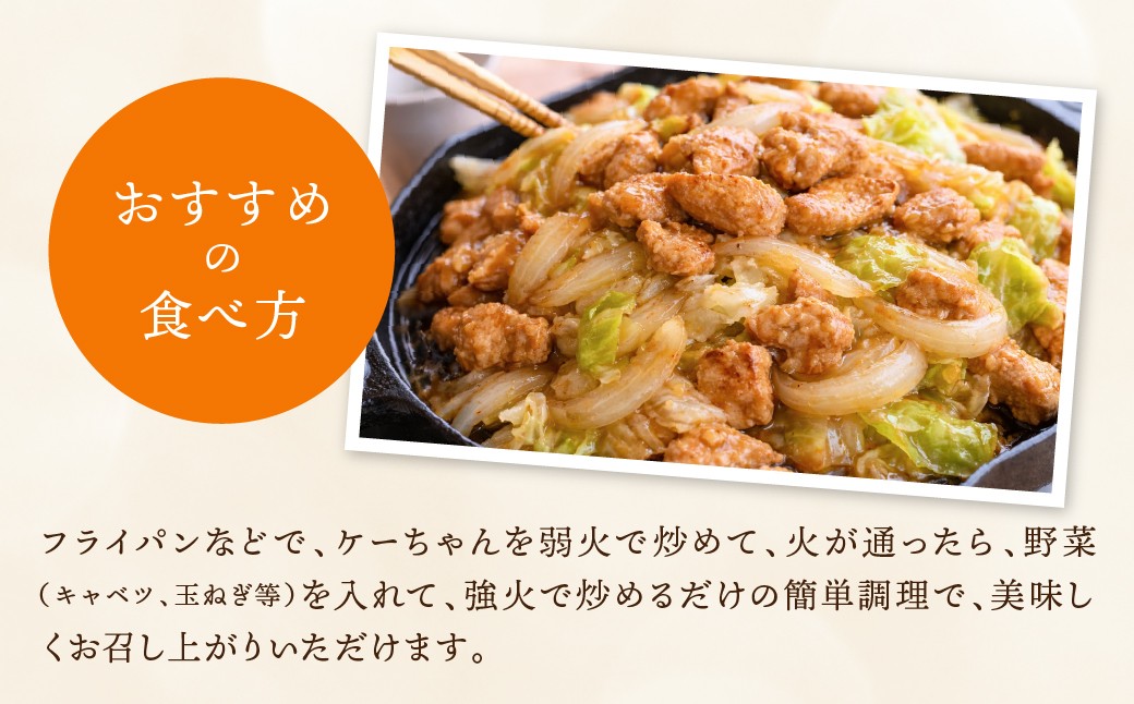 ケーちゃん×漬物ステーキ