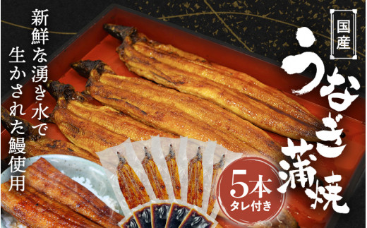 国産うなぎ蒲焼（5本）タレ付き  /  うなぎ 鰻 うなぎ 蒲焼き うなぎ蒲焼 和歌山 田辺市 国産 国産うなぎ 国産鰻 鰻丼 うな丼 土用の丑の日 【ots018】