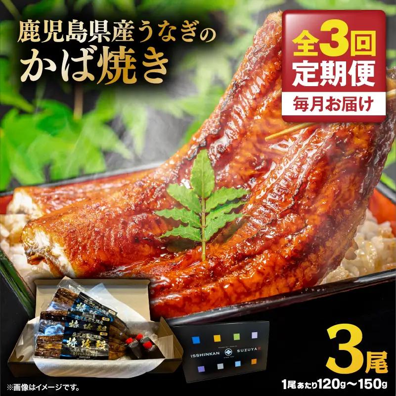 【 全3回 定期便 】 鹿児島県産 うなぎ の かば焼き 3尾 KN174-T03 定期 ウナギ 鰻 蒲焼き 冷凍