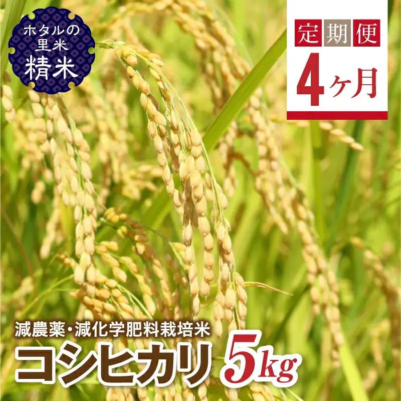  ＜定期便4ヶ月＞【ホタルの里米】環境に配慮し農薬を減らした栽培米 コシヒカリ精米5kg  F4D-2270