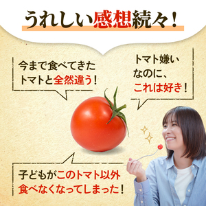 先行予約 訳あり トマト ごほうびとまと 1kg トマト