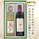 【ふるさと納税】山梨ワイン2本セット（トウモロコシの夢ワイン・ルミエールカデット赤）[道の駅とよとみ 山梨県 中央市 21470984] 酒 ワイン 2種 セット 飲み比べ トウモロコシ とうもろこし