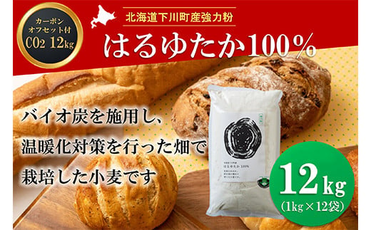 北海道下川町産強力粉はるゆたか100% 12kg バイオ炭施用 カーボン・オフセット付 F4G-0198