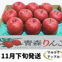 【ふるさと納税】【11月下旬発送】訳あり 家庭用 濃厚サンふじ 約3kg 糖度13度以上【青森りんご・マルコウアップル】　板柳町　お届け：2024年11月下旬～