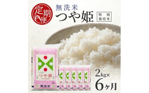 【6回定期便】無洗米 特別栽培米つや姫　2kg×6回(計12kg) TO SF0305
