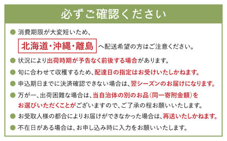 【2024年5月〜発送】【さわやかな味! 】タカミメロン 2箱セット / メロン 南島原市 / 南島原果物屋[SCV009]