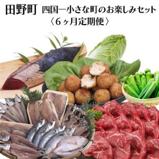 【四国一小さなまち】≪2024年1月発送開始≫★定期便 6ヶ月（1月～6月）★～田野町お楽しみセット6回コース『B』～