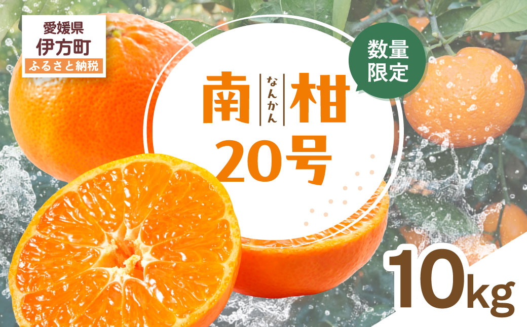 【先行受付】【数量限定】南柑20号（生果）10kg（2026年12月上旬頃より順次発送） IKTQ003
