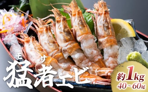 【23001】幻のえび モサエビ 1kg｜鳥取 岩美 海老 エビ えび 幻のえび