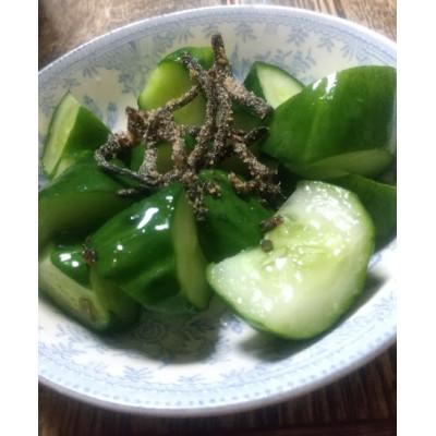 ふるさと納税 茨木市 【のし付き】塩昆布(乾燥)いそ松葉 100g×2個 紙袋なし |  | 01