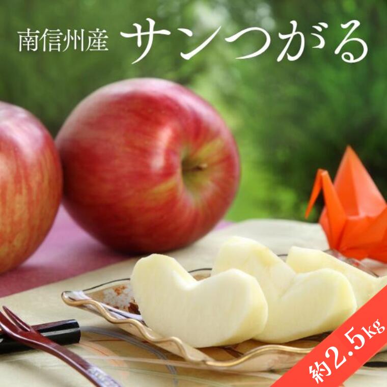 【ふるさと納税】りんご サンつがる 約2.5kg / 2026年9月上旬～9月中旬ごろ配送予定 // 長野県 南信州 贈答 ギフト 新鮮 林檎 リンゴ サンツガル JA46