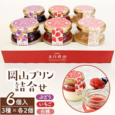 【ふるさと納税】岡山プリン3種詰合せ　6個入(いちご・ぶどう・白桃)【配送不可地域：離島】【1130057】