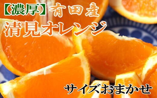 
										
										【濃厚】有田産清見オレンジ約5kg（サイズおまかせ・青秀以上）★2025年2月中旬頃より順次発送
									