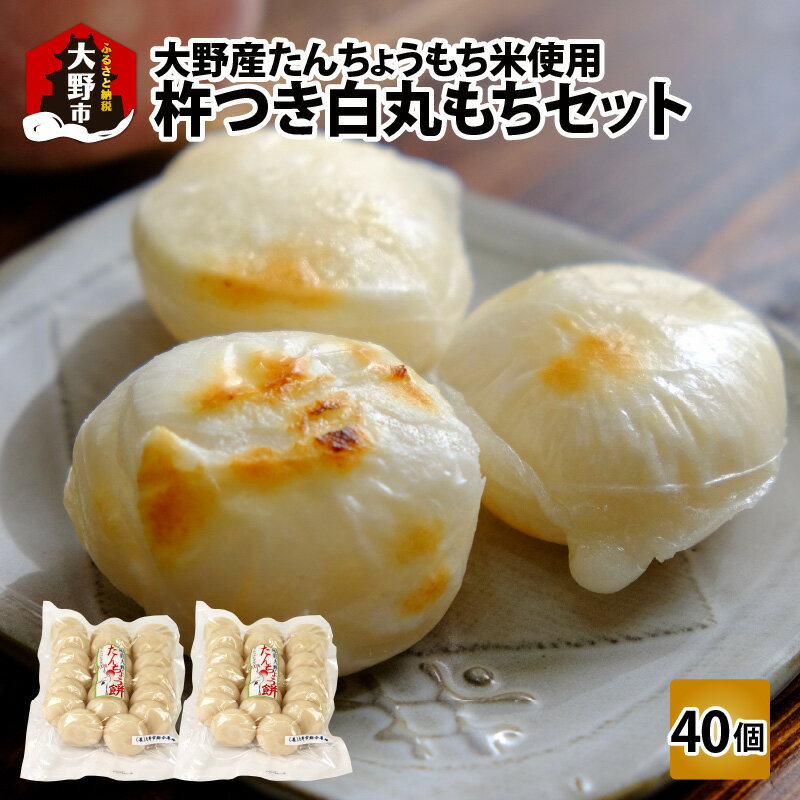 【ふるさと納税】【先行予約】【年内配送】「杵つき白丸もちセット40個」(50g × 40個） 大野産たんちょうもち米使用【12月24日までの入金確認分は年内お届け】[A-011027]冷凍保存可 雑煮 年内配送 年内お届け 年始 正月 たんちょう タンチョウ 鏡餅 つきたて 送料無料