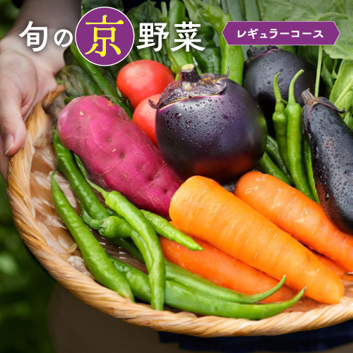 旬の京野菜　レギュラーコース≪京都 丹波 野菜 ふるさと納税野菜≫ ※沖縄・離島・諸島へのお届け不可