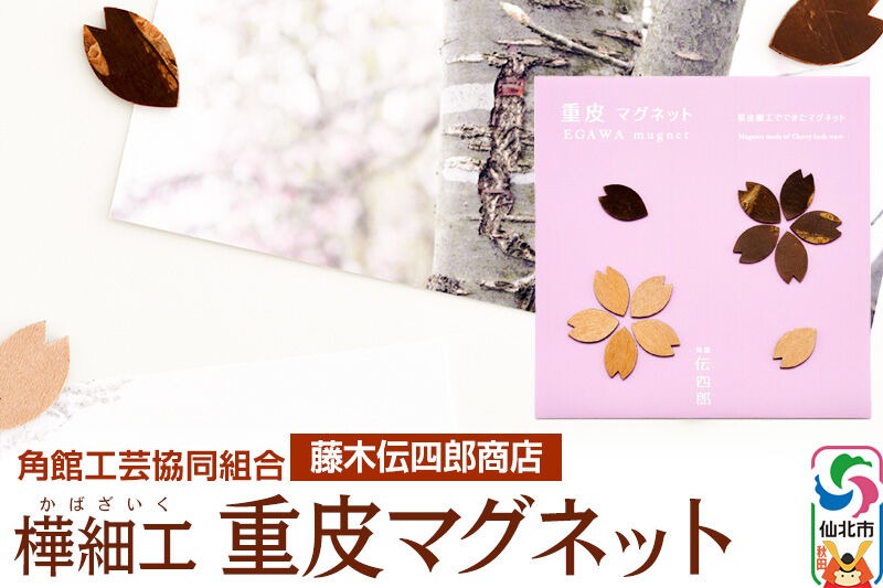 角館樺細工《藤木伝四郎商店》桜の花びらの形 重皮マグネット ゆうパケット 角館工芸協同組合 [伝統工芸品 山桜 ヤマザクラ 桜皮 樺細工 かばざいく カバザイク]|02_kdk-330101
