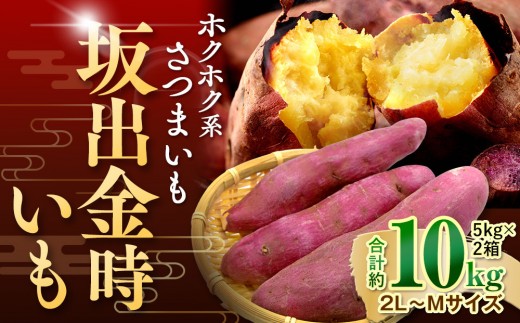 ＜2026年8月下旬以降発送・先行予約＞ホクホク系さつまいも「坂出金時いも」約5kg×2箱　2L～Mサイズ