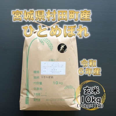 令和6年産 ひとめぼれ 玄米10kg 宮城県村田町産