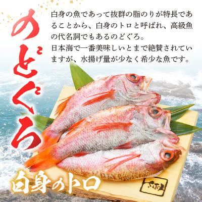 ふるさと納税 越前町 開きのどぐろ × 5尾(約170〜200g / 1尾)
