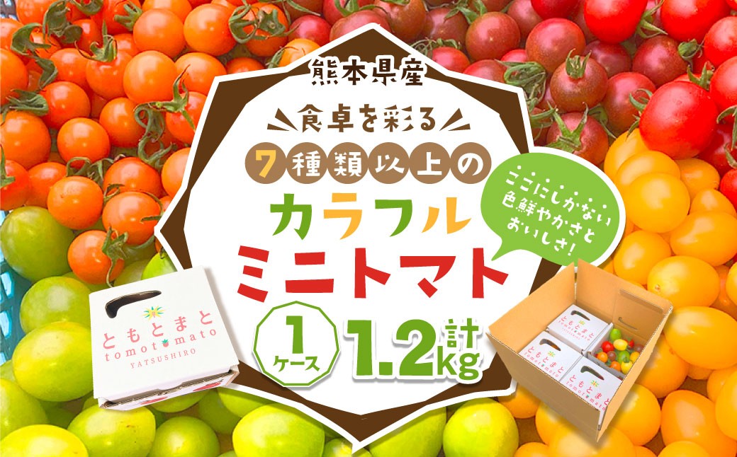 
                  熊本県産食卓を彩る7種類以上の色鮮やかなカラフルミニトマト 4箱入り1ケース 計1.2kg 熊本県産 トマト プチトマト 【2026年11月上旬発送開始】
                