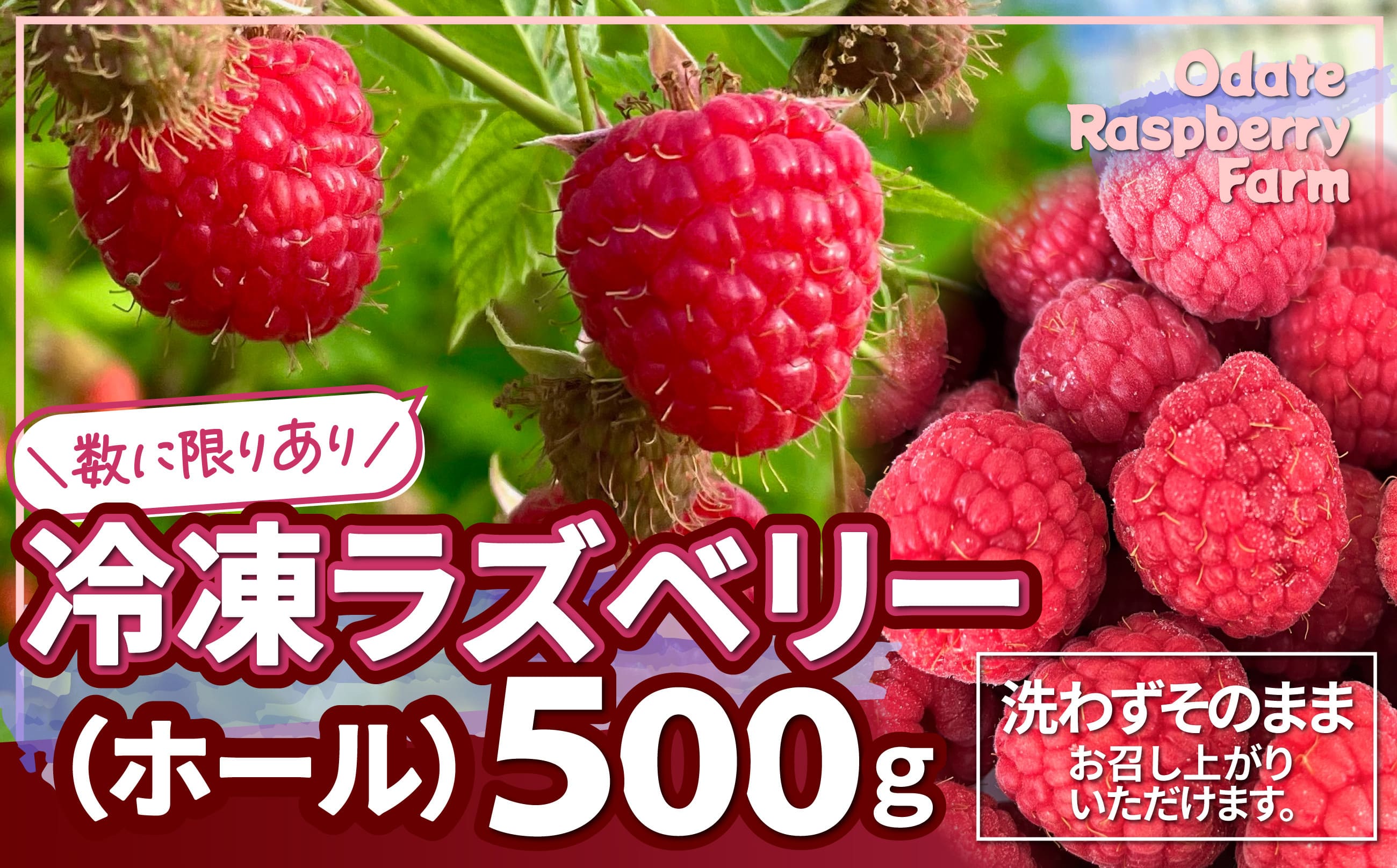 【ふるさと納税】冷凍ラズベリー（ホール）500g 【85P3402】 国産ラズベリー ベリー 冷凍 産直 産地直送 数量限定 期間限定 スムージー ジャム ヨーグルト 果実 果物 大館市 送料無料【おおだてラズベリーファーム】