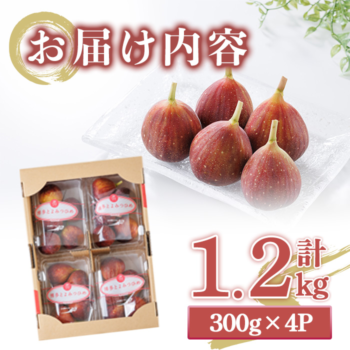 ＜先行予約受付中！2026年8月下旬～10月下旬に順次発送予定＞福岡県ブランドいちじく博多 とよみつひめ (計約1.2kg・300g×4P) いちじく イチジク フルーツ 果物 くだもの 福岡限定 ＜