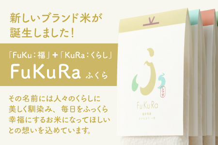 【令和5年産】『FuKuRa』無洗米真空パックこしひかり1合・5パック×3箱[B-017029]