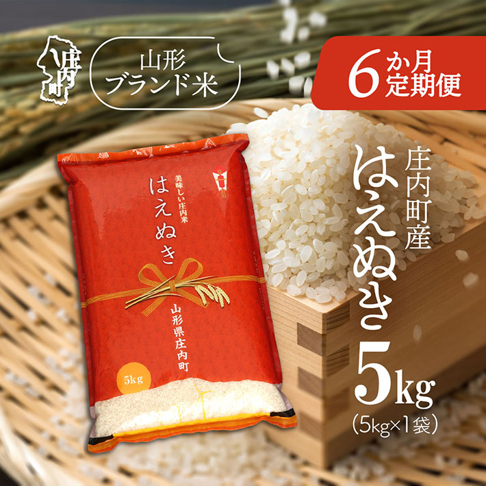 ＜1月中旬発送＞庄内米6か月定期便！はえぬき 5kg（入金期限：2025.12.25）