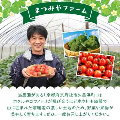 ふるさと納税 京丹後市 【先行予約】もりもり!ブロッコリー約2kg　2026年11月中旬〜順次発送 国産ブロッコリー9株程度 |  | 02