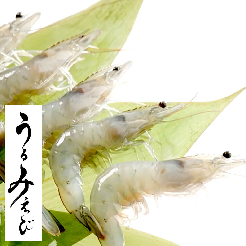 【ふるさと納税】うるみえび（冷凍） SS～4L サイズランダム 計約400g（約100g×4袋） 国際味覚審査機構 優秀味覚賞「2つ星」獲得 有頭えび エビ 海老 魚介類 水産物 海鮮 料理 寿司 ギフト 贈答 贈り物 岡山県産 国産 岡山県 倉敷市 送料無料