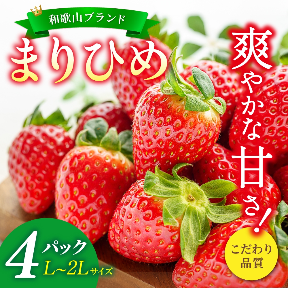 【先行予約】まりひめ いちご 12粒～15粒入り×4パック（1kg）2026年1月中旬頃～2026年3月中旬頃に順次発送予定（お届け日指定不可）/ いちご 苺 まりひめ 和歌山 フルーツ 果物 くだも