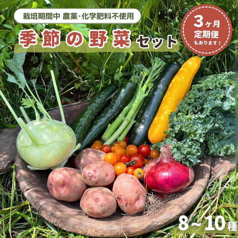 【ふるさと納税】季節の野菜セット (8~10種) 選べる 単発/定期便