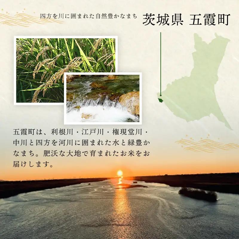 令和7年産 ミルキークイーン 精米 10kg (5kg×2袋)  中山産業 【価格変更AB】