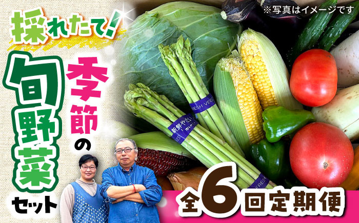 
【 全6回定期便/偶数月】農家自慢 季節の野菜セット / 詰め合わせ 野菜 やさい 野菜セット 野菜詰め合わせ 旬 春野菜 夏野菜 秋野菜 野菜定期便 / 大村市 / 産直松吉[ACZC002]
