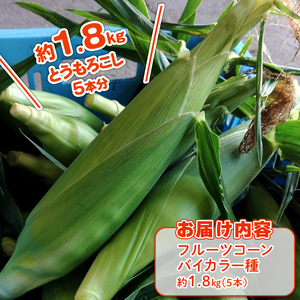 【2026年先行予約 / 数量限定 とうもろこし】フルーツコーン バイカラー種 5本 とうもろこし