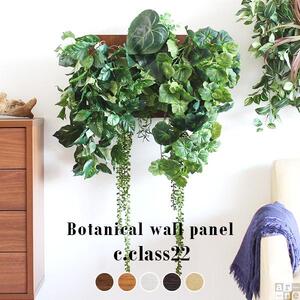 Botanical c.class 22　ホワイトウッド